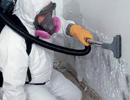 Best Asbestos and Lead Testing During Mold Inspection  in Tladega, AL